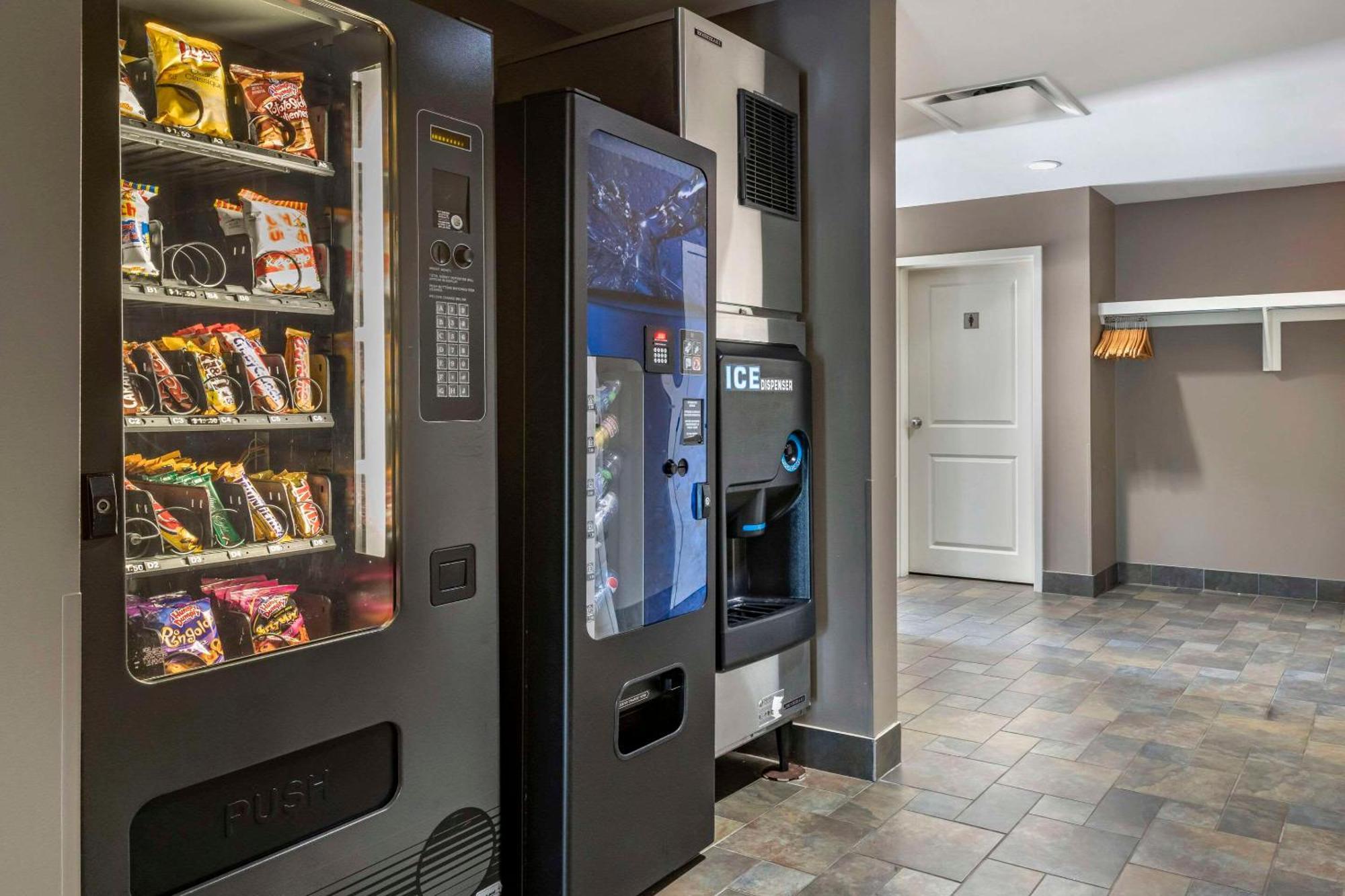 Quality Inn & Suites Quispamsis Rothesay Exteriér fotografie